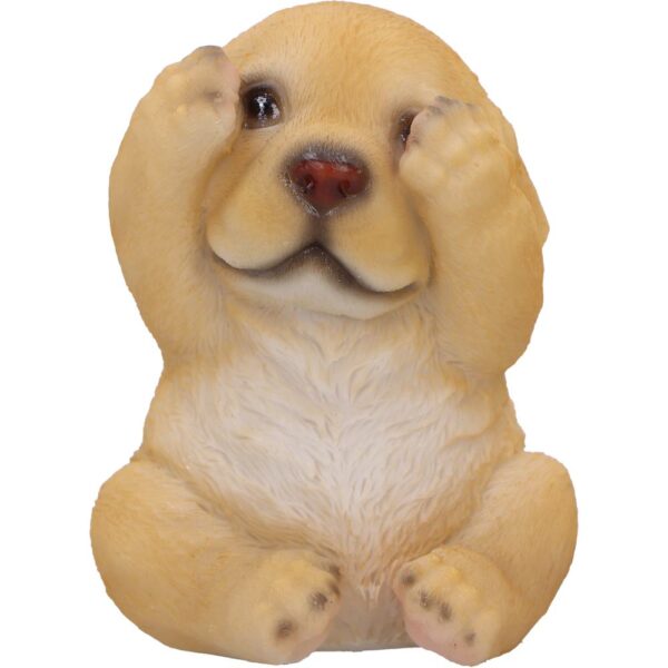 Three Wise Golden Labs - Image 3