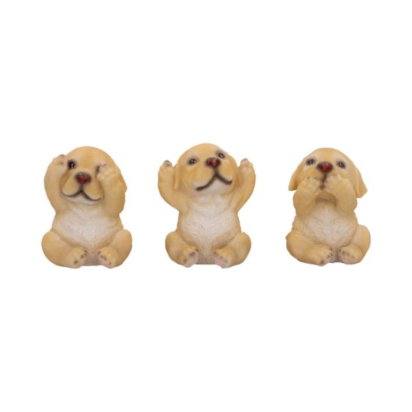 Three Wise Golden Labs