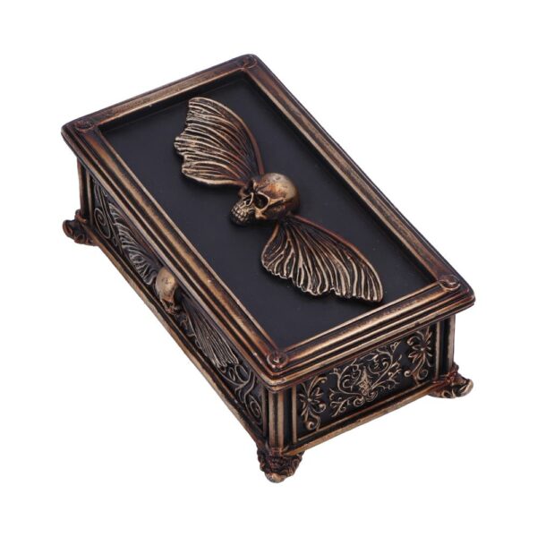 Death's Head Treasure Box - Image 7