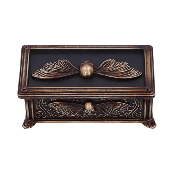 Death's Head Treasure Box - Image 8