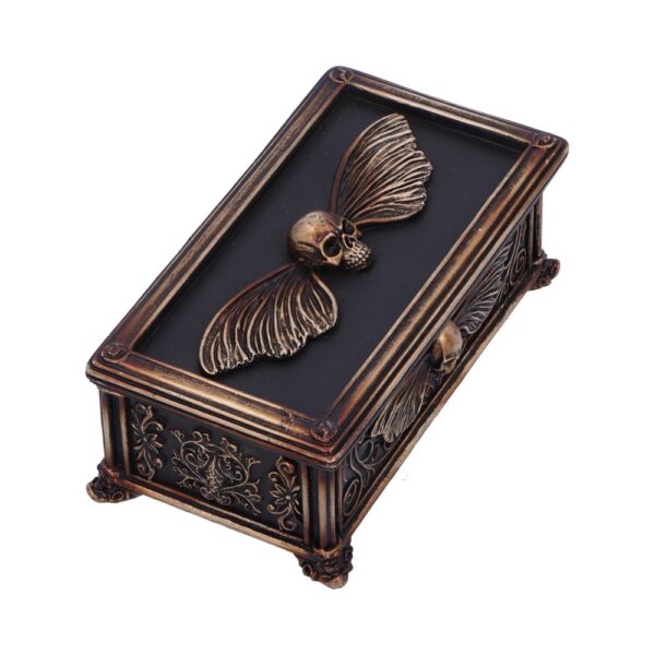 Death's Head Treasure Box - Image 2