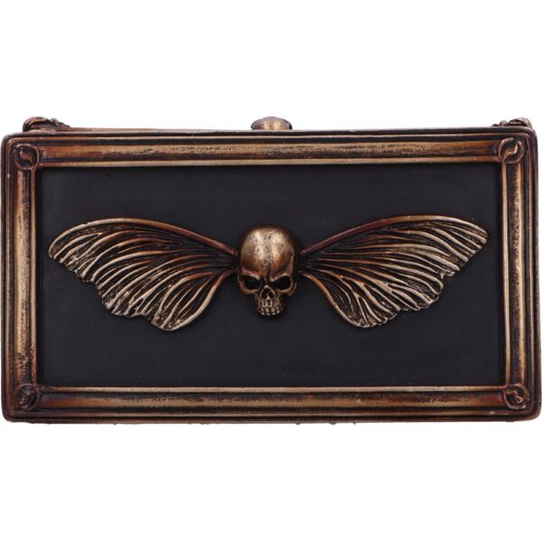Death's Head Treasure Box - Image 3