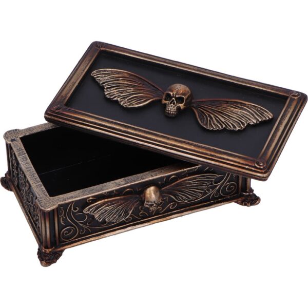 Death's Head Treasure Box - Image 4