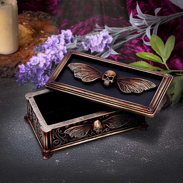 Death's Head Treasure Box - Image 5