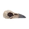 Edgar Raven Skull - Image 4