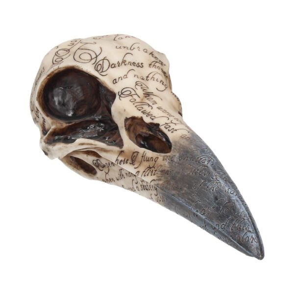 Edgar Raven Skull