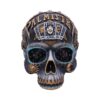Destiny Palmistry Skull - Image 8