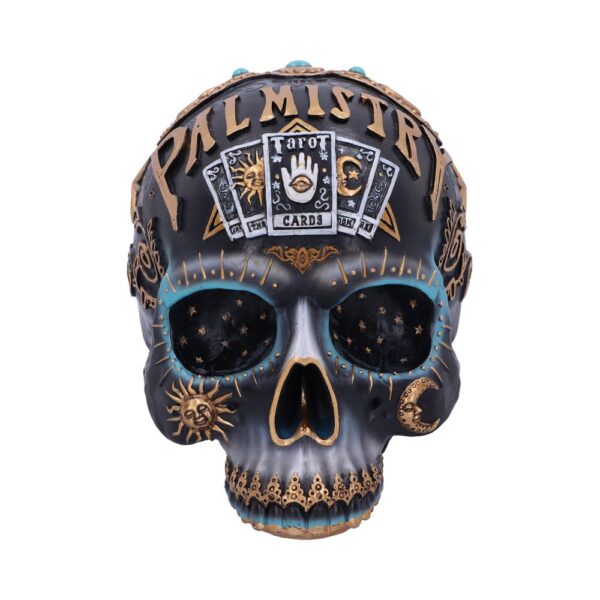 Destiny Palmistry Skull - Image 8