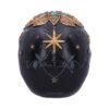 Destiny Palmistry Skull - Image 9