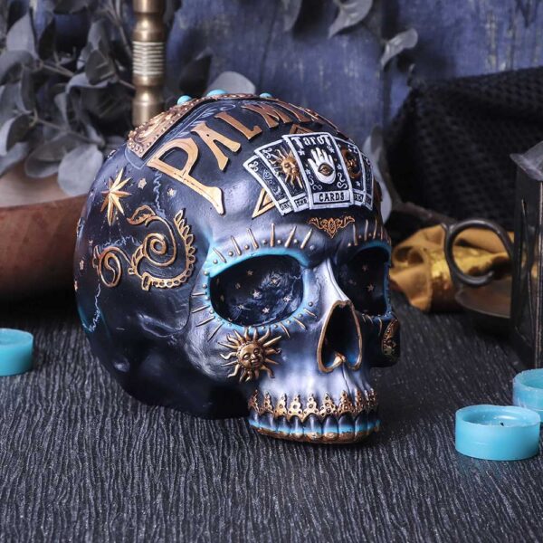 Destiny Palmistry Skull - Image 5