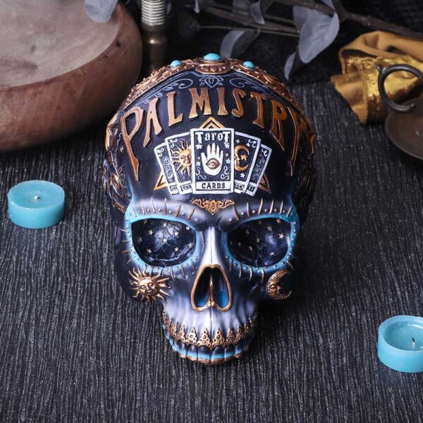 Destiny Palmistry Skull - Image 6