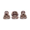 Three Wise Sloths
