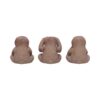 Three Wise Sloths - Image 8