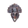 Triceratops Head - Image 7