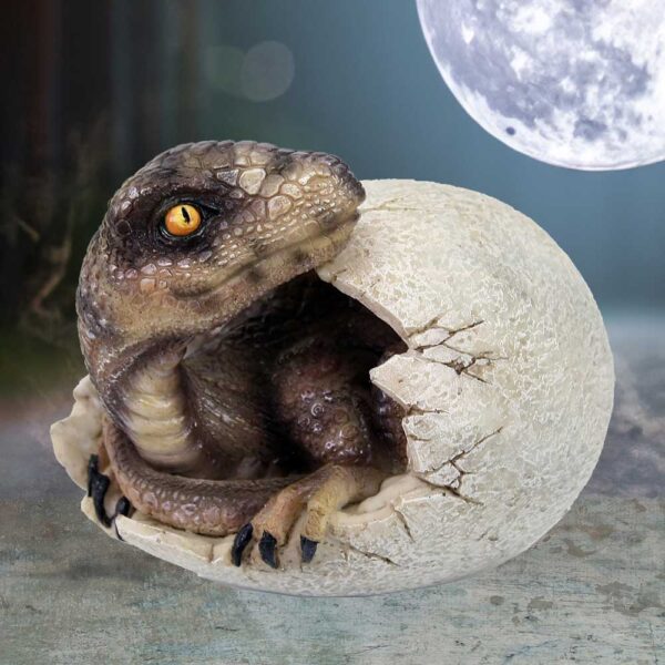 Raptors Dawn - Image 5