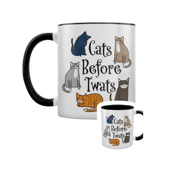 Cats Before Twats Mug