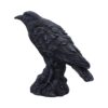 Raven Messenger - Image 7