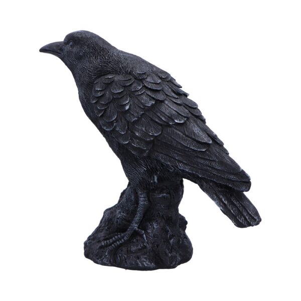 Raven Messenger - Image 7