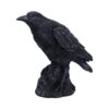 Raven Messenger - Image 6