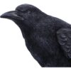 Raven Messenger - Image 3