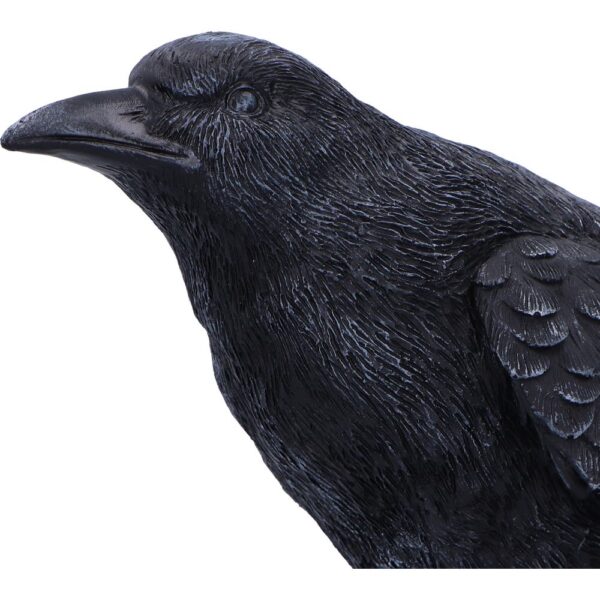 Raven Messenger - Image 3