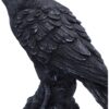 Raven Messenger - Image 4