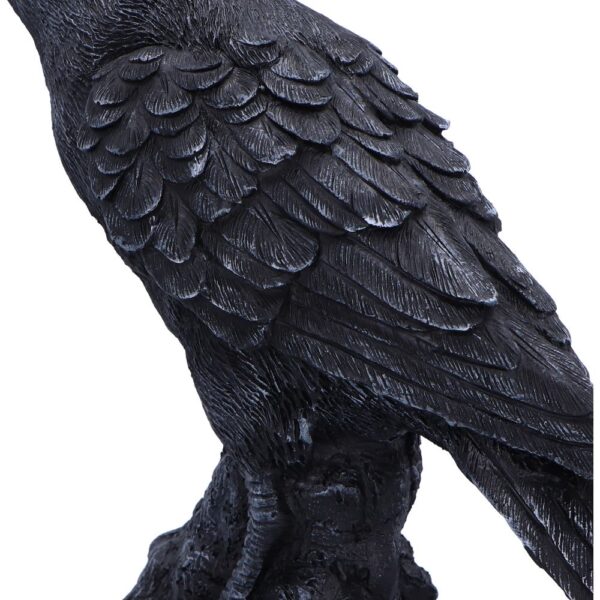 Raven Messenger - Image 4
