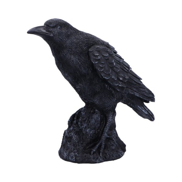 Raven Messenger - Image 6