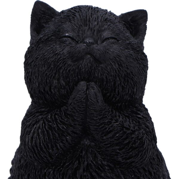 Whisker Wish - Image 3