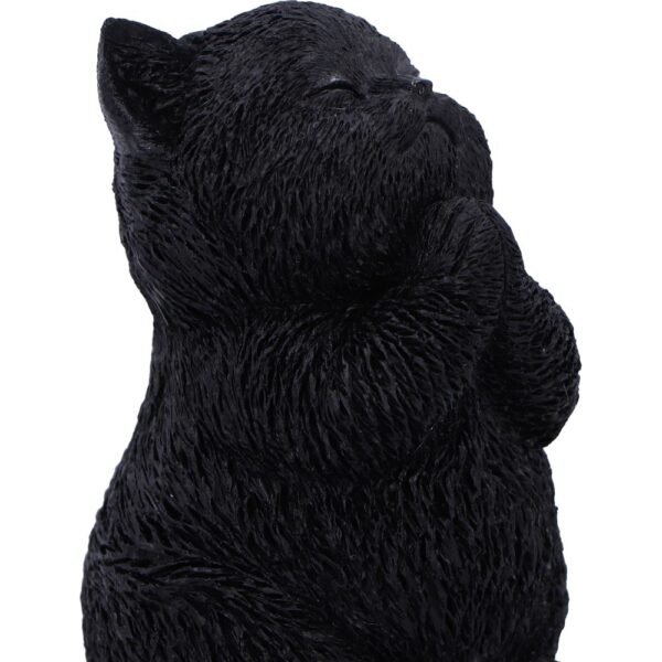 Whisker Wish - Image 4