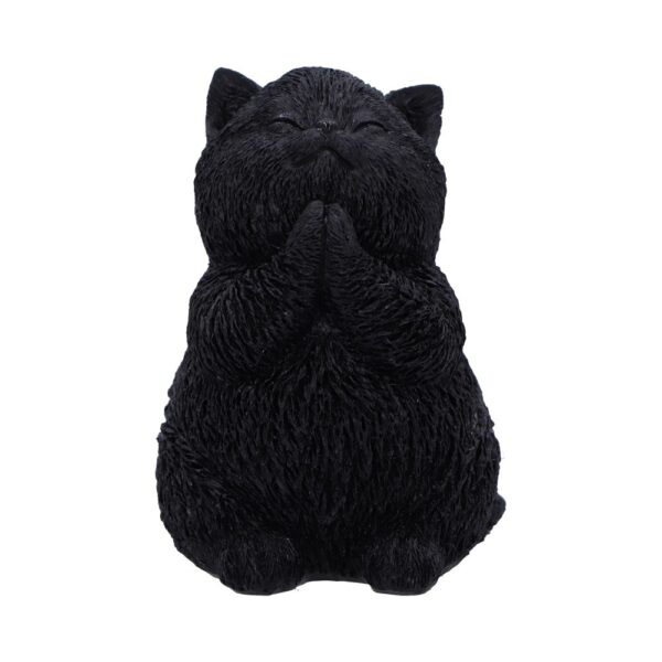 Whisker Wish