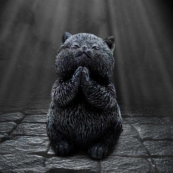Whisker Wish - Image 5