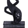 Enchant - Spell Cat - Image 7