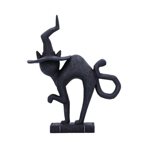Hex - Spell Cat - Image 4