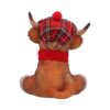 Highland Tam - Image 4