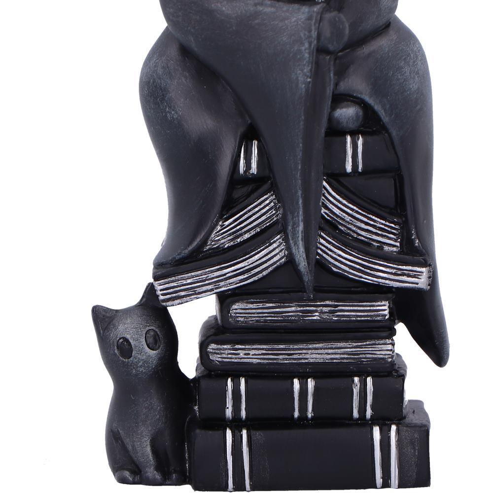 Little Souls - Shine - Image 6