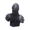 Into The Knight - Image 4
