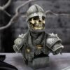 Into The Knight - Image 8