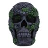 Aged Pentagram Skull - Image 4