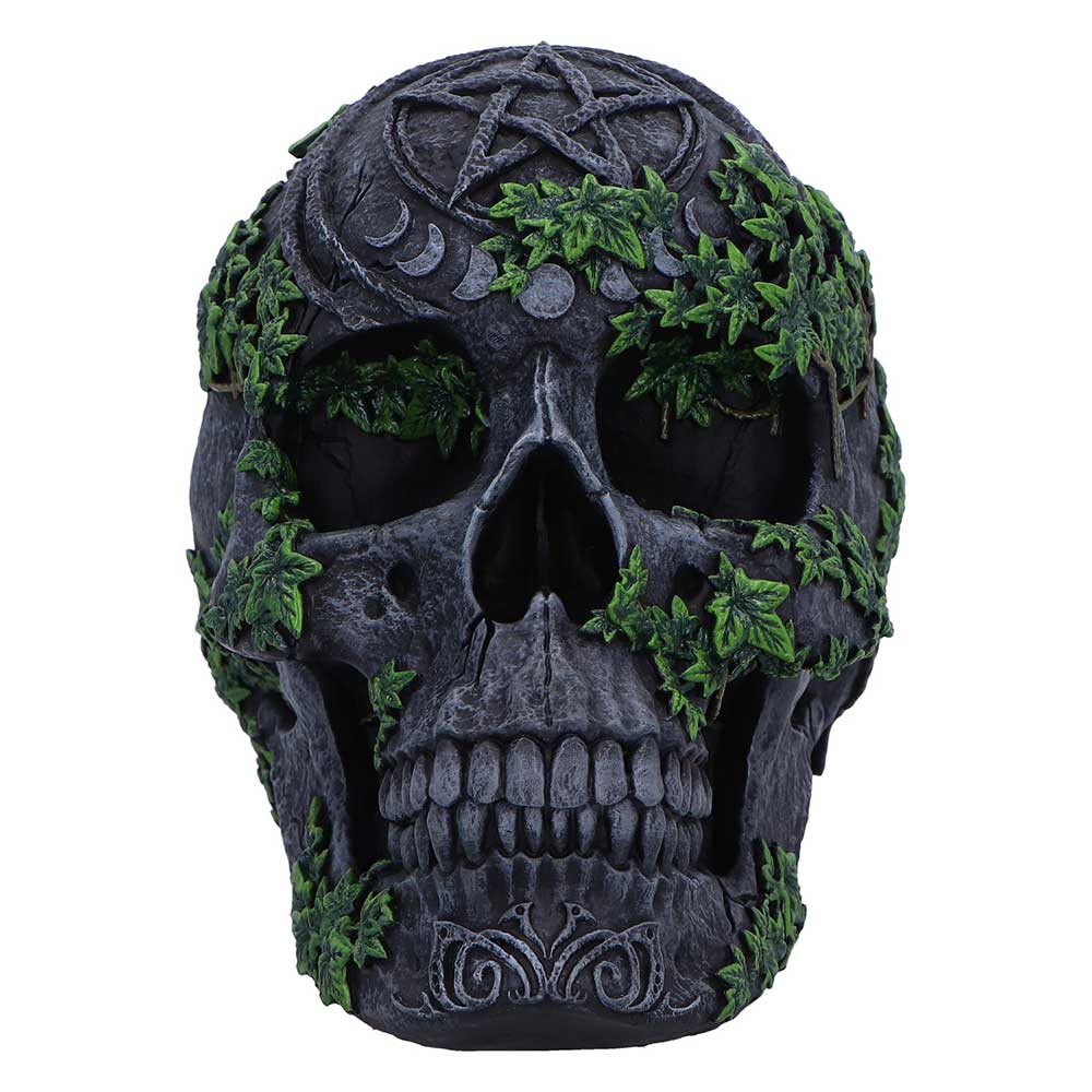 Aged Pentagram Skull - Image 4