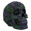 Aged Pentagram Skull