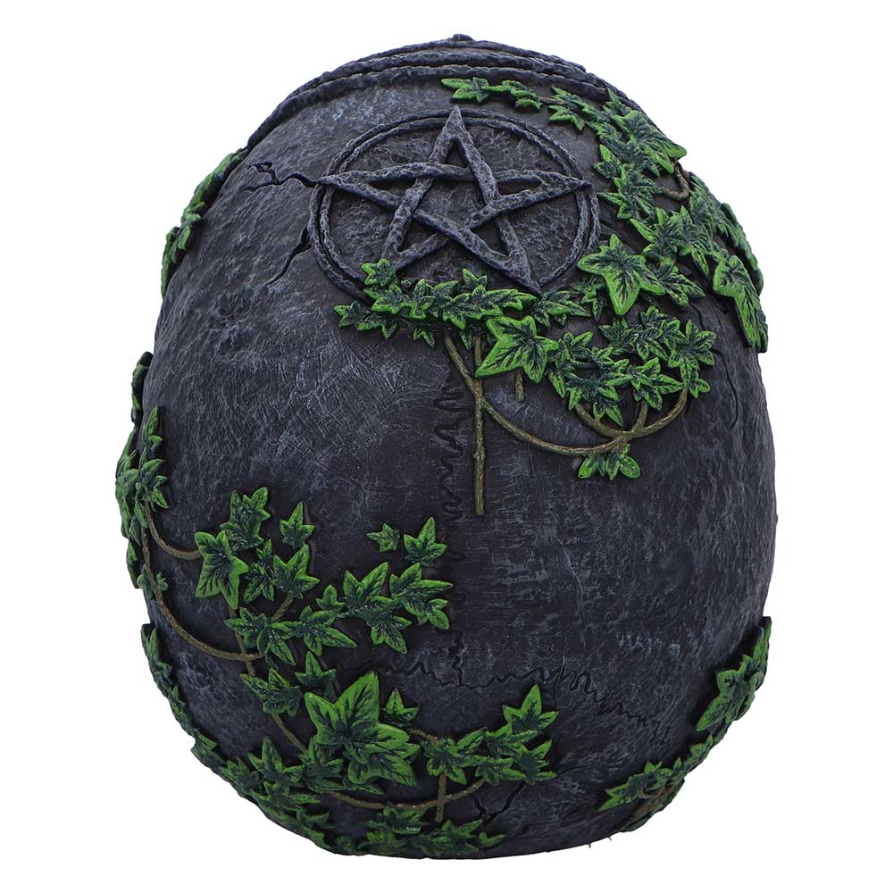 Aged Pentagram Skull - Image 5