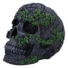 Aged Pentagram Skull - Image 6