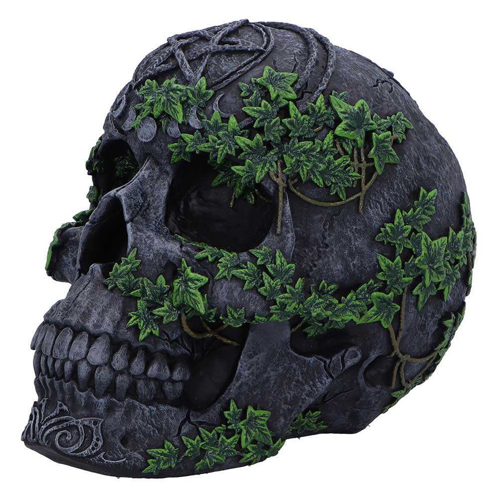 Aged Pentagram Skull - Image 6