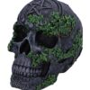 Aged Pentagram Skull - Image 7