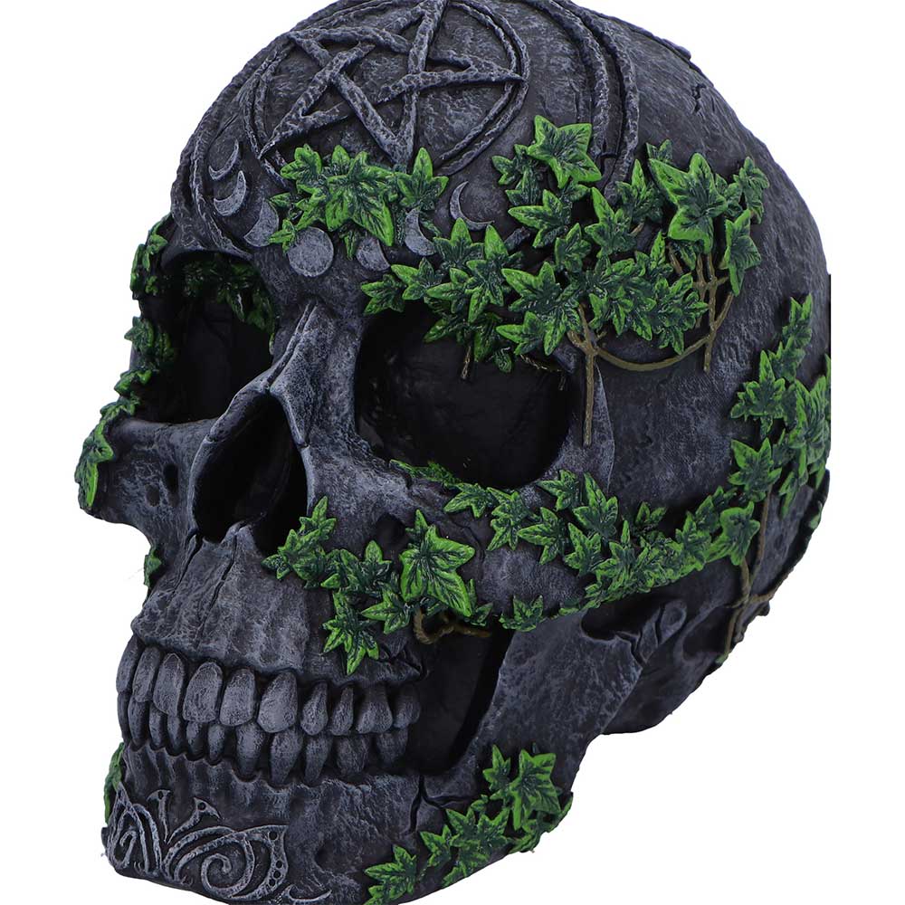 Aged Pentagram Skull - Image 7