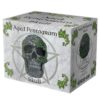Aged Pentagram Skull - Image 9