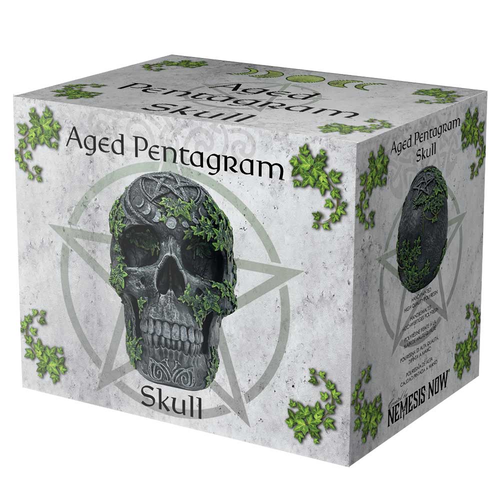 Aged Pentagram Skull - Image 9