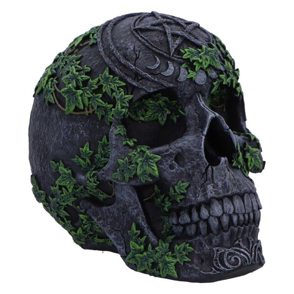 Aged Pentagram Skull