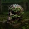 Aged Pentagram Skull - Image 2
